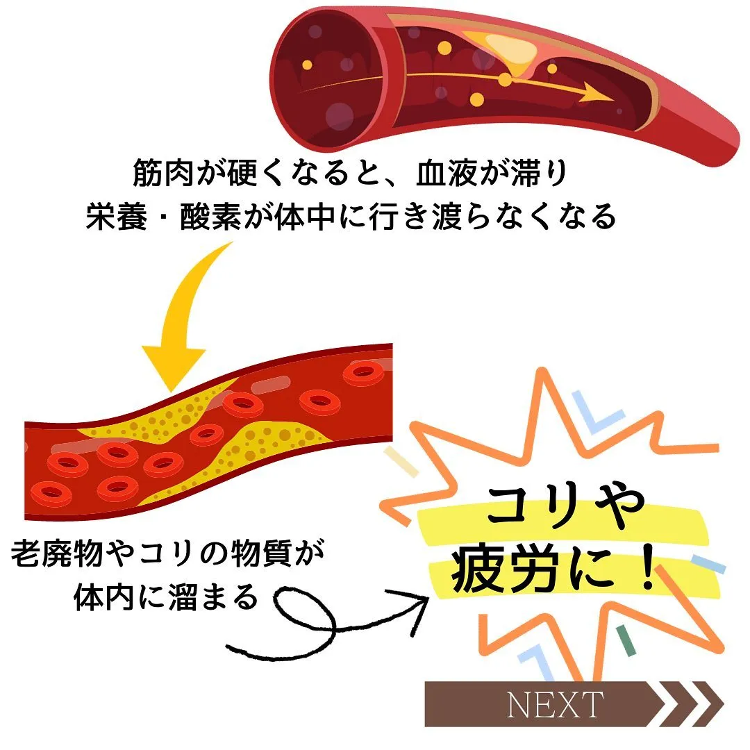 ＼ストレッチを日常に／